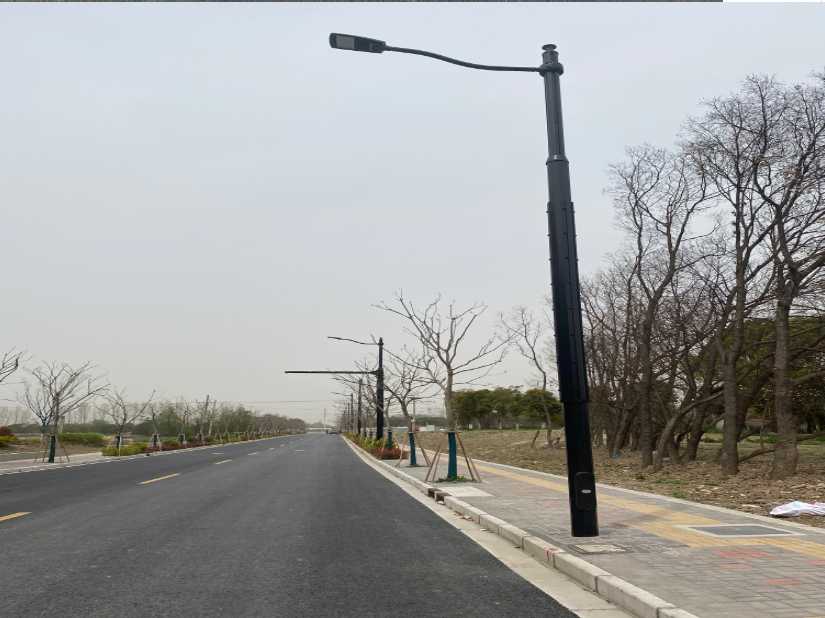 宁津县上海综合杆 太阳能路灯工程